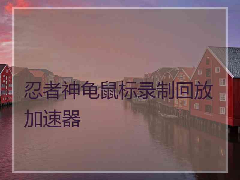 忍者神龟鼠标录制回放加速器