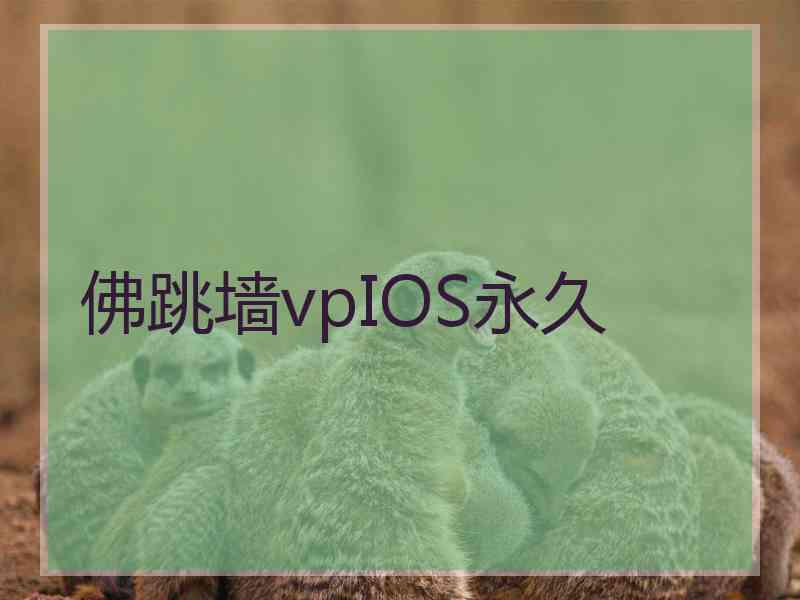 佛跳墙vpIOS永久