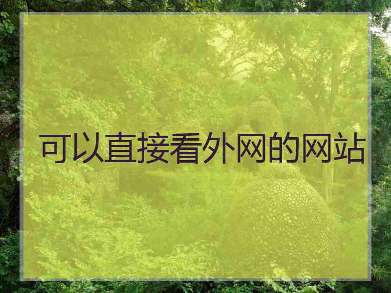 可以直接看外网的网站
