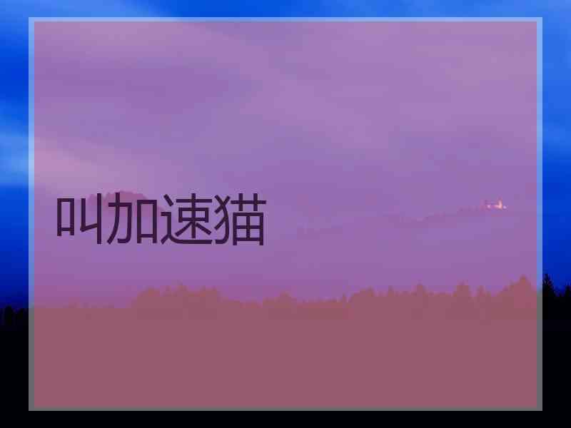 叫加速猫