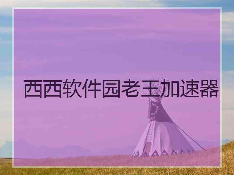 西西软件园老王加速器