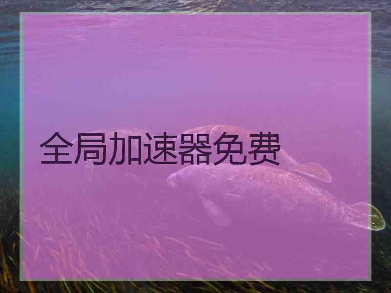 全局加速器免费