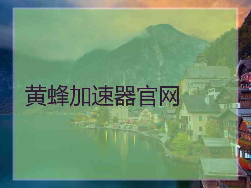 黄蜂加速器官网