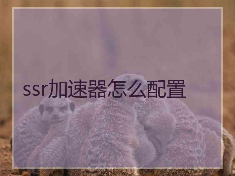 ssr加速器怎么配置