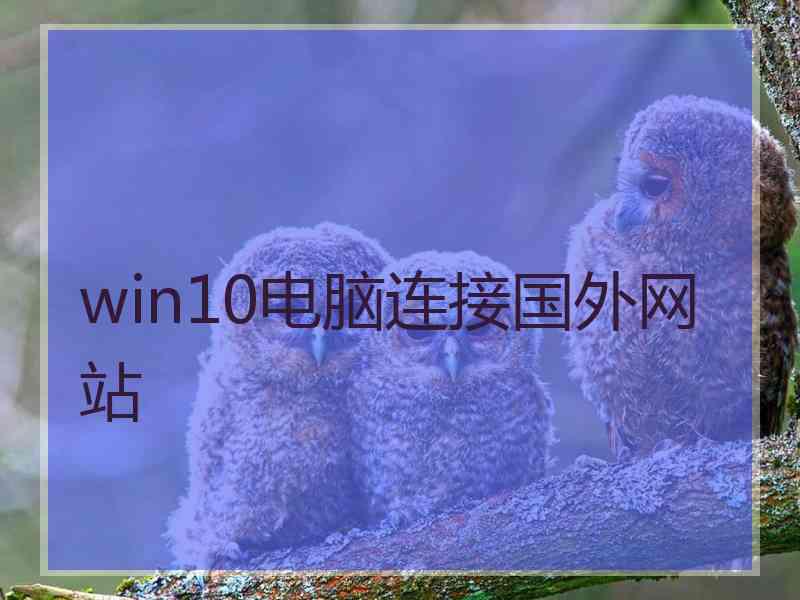 win10电脑连接国外网站