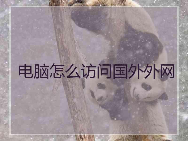 电脑怎么访问国外外网