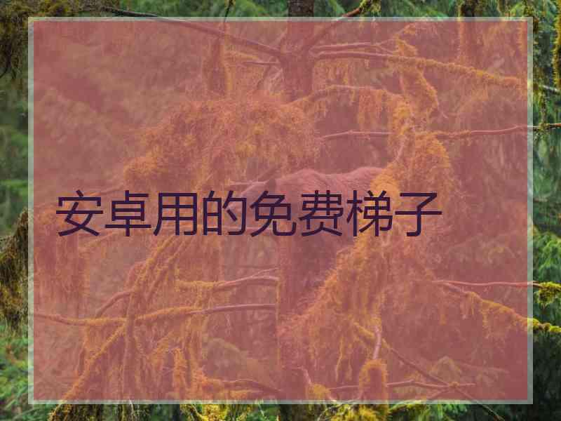 安卓用的免费梯子