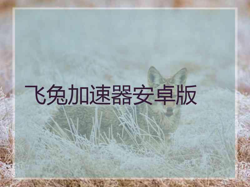 飞兔加速器安卓版