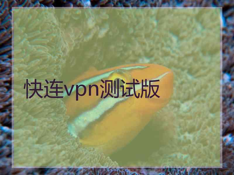 快连vpn测试版