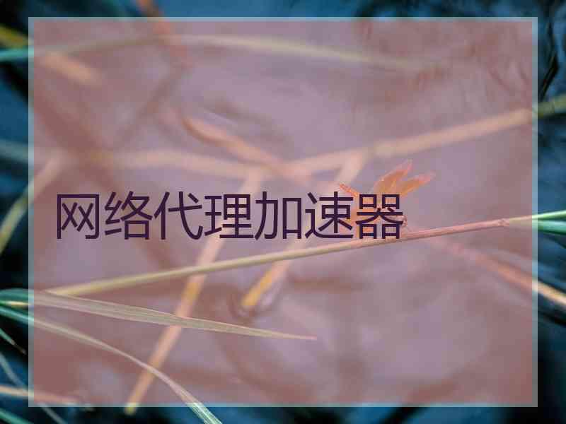 网络代理加速器