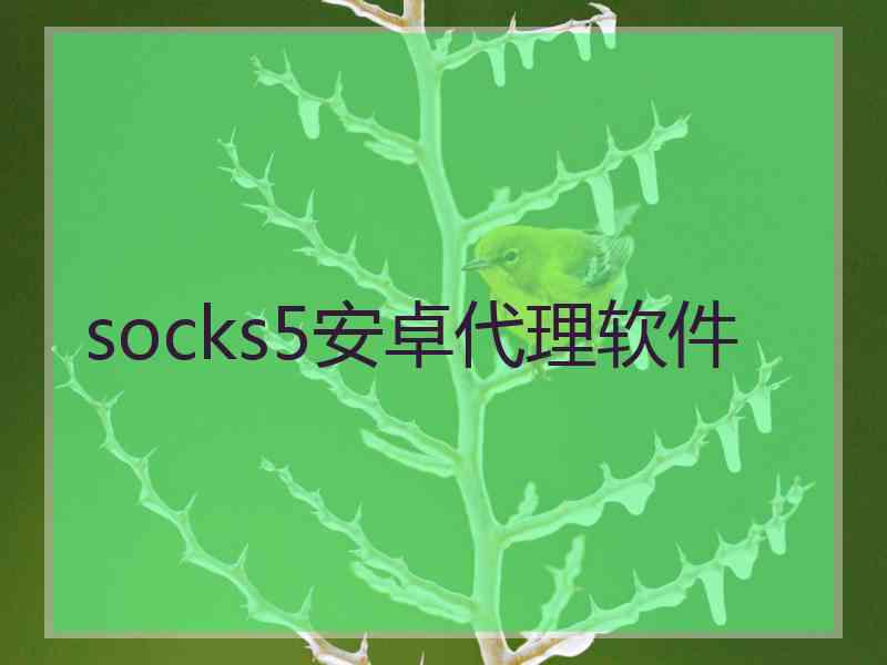 socks5安卓代理软件