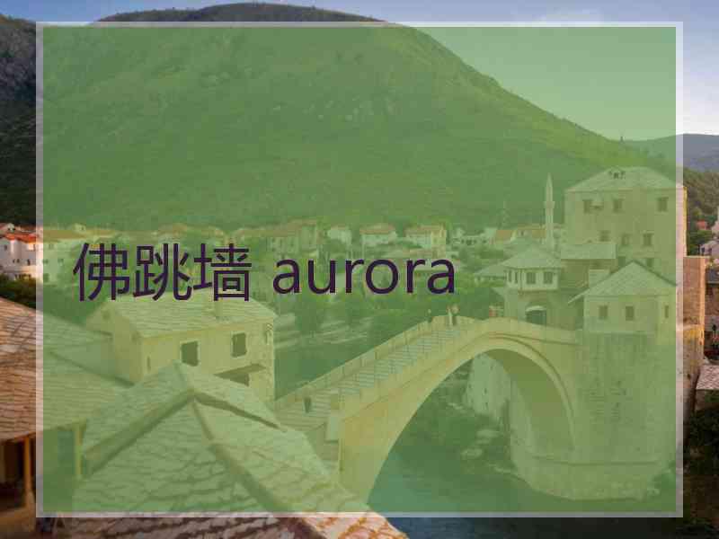 佛跳墙 aurora