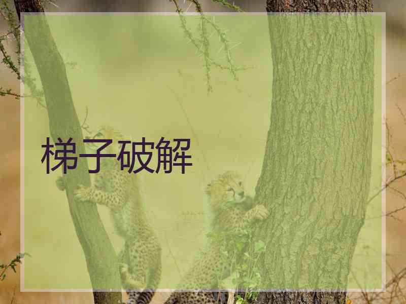 梯子破解