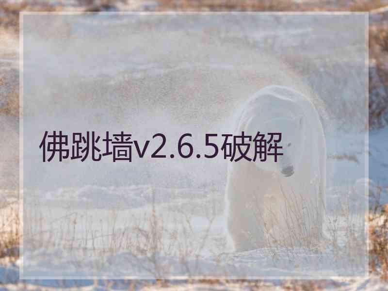 佛跳墙v2.6.5破解