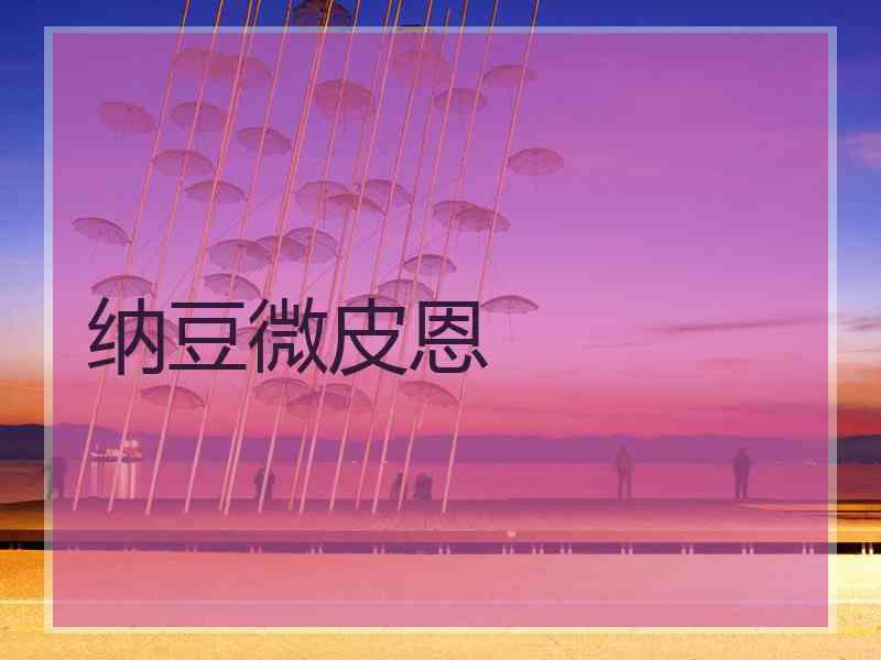 纳豆微皮恩