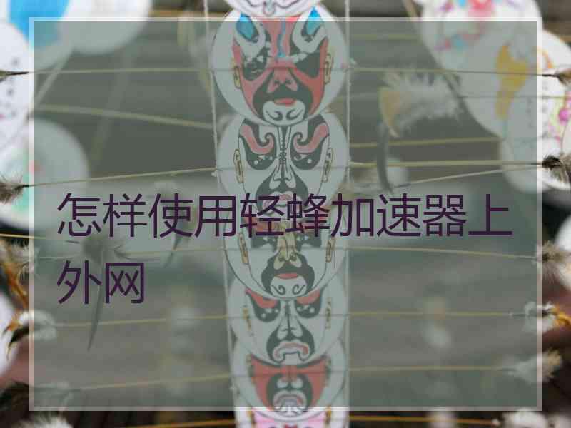 怎样使用轻蜂加速器上外网