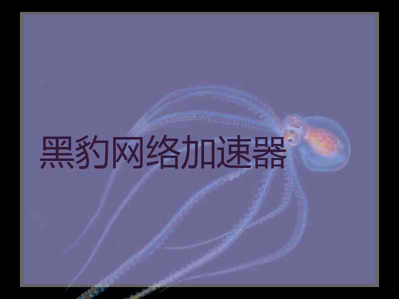 黑豹网络加速器