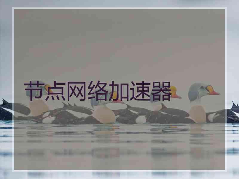 节点网络加速器