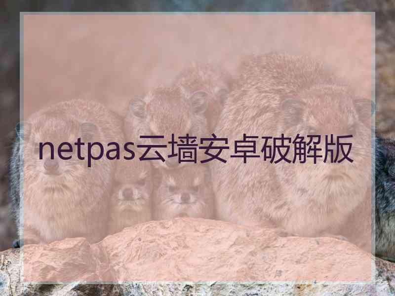 netpas云墙安卓破解版