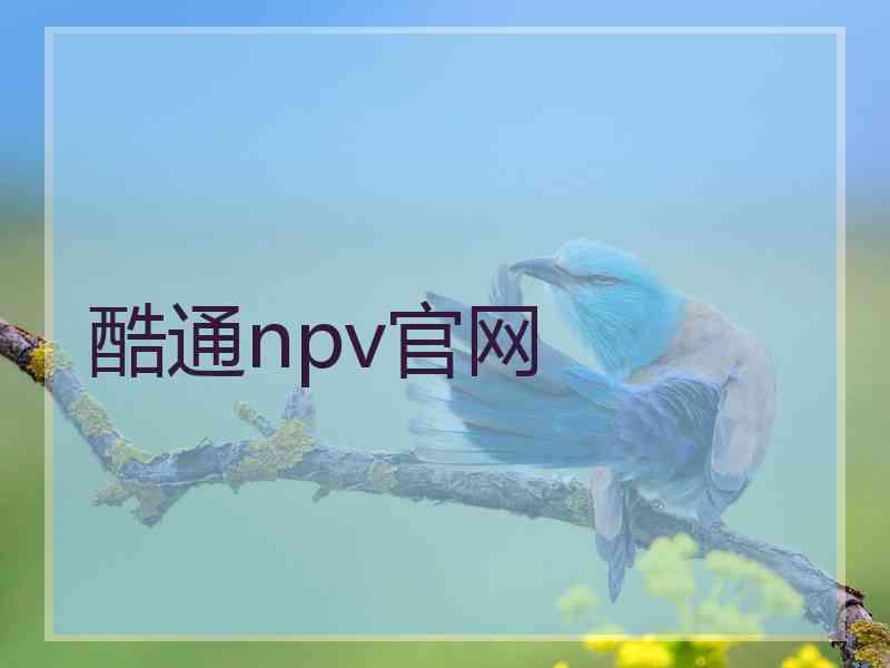 酷通npv官网