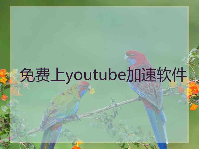 免费上youtube加速软件