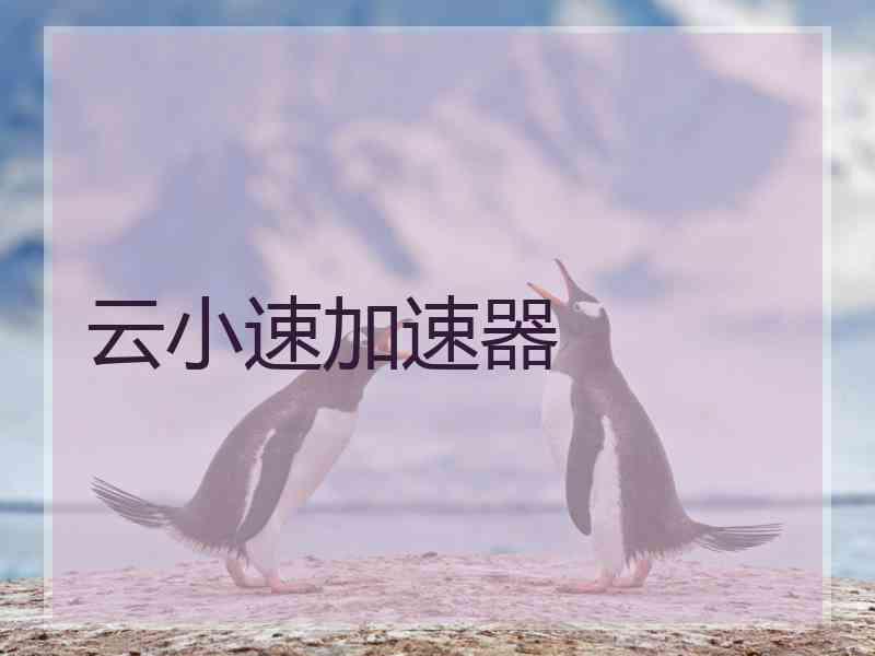 云小速加速器