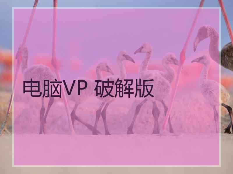 电脑VP 破解版
