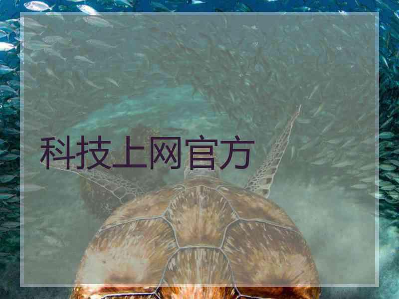 科技上网官方
