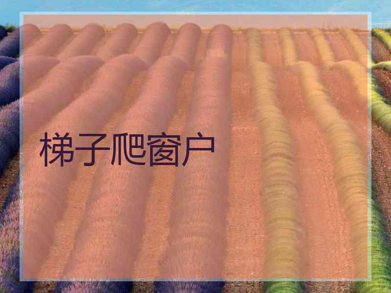 梯子爬窗户