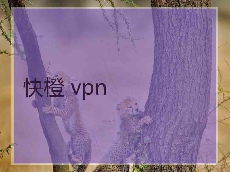 快橙 vpn