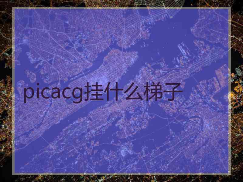 picacg挂什么梯子