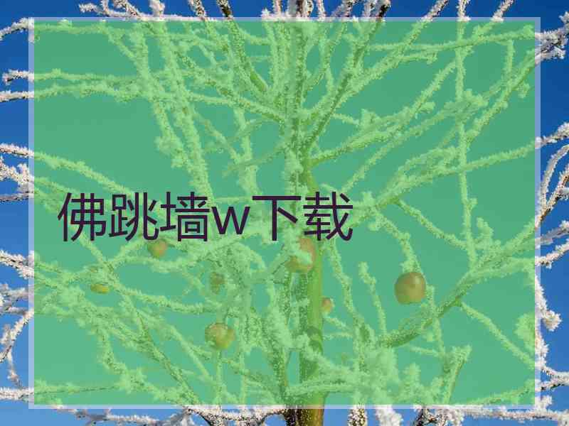佛跳墙w下载