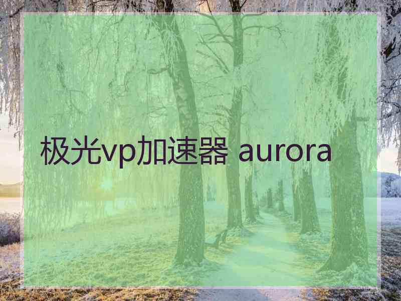 极光vp加速器 aurora