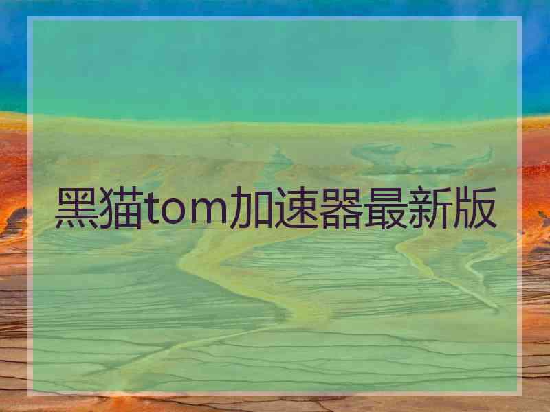 黑猫tom加速器最新版