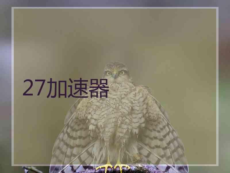 27加速器