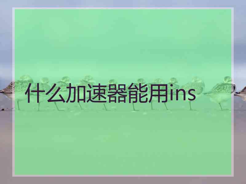 什么加速器能用ins