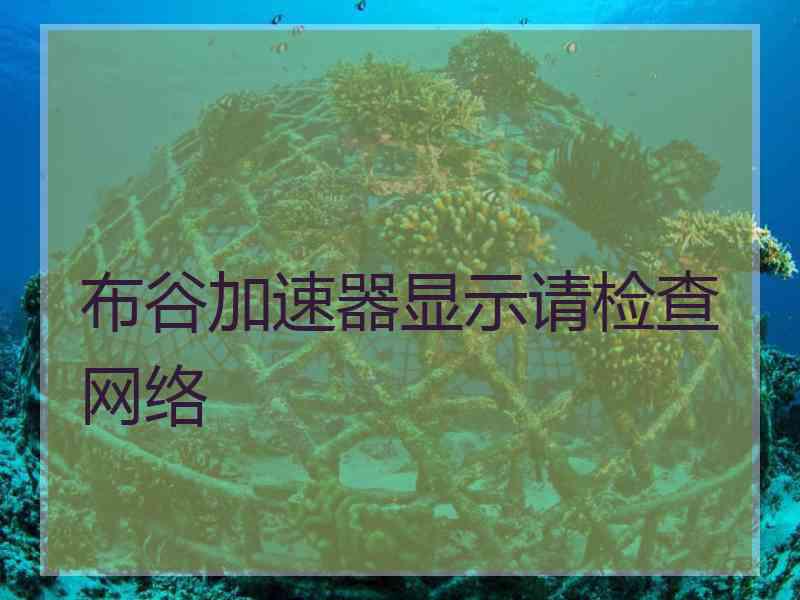 布谷加速器显示请检查网络
