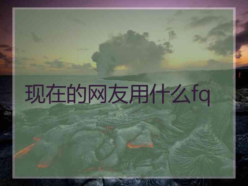 现在的网友用什么fq