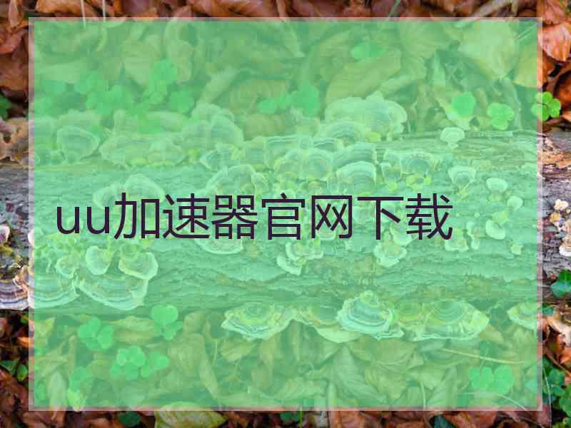 uu加速器官网下载