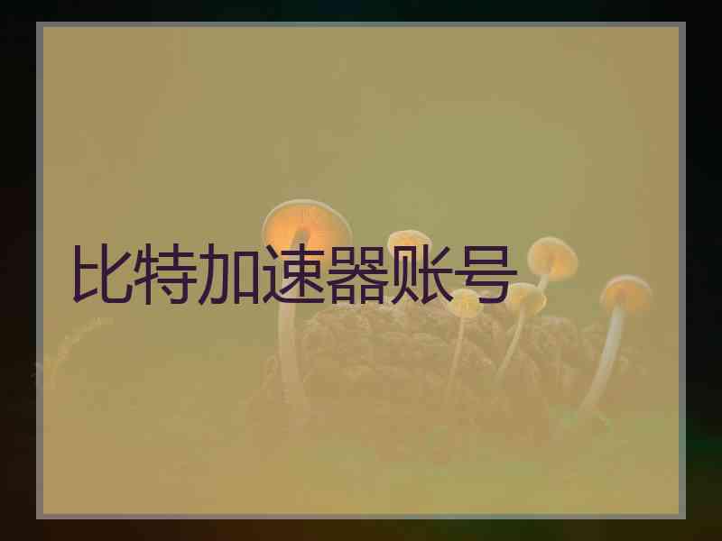 比特加速器账号