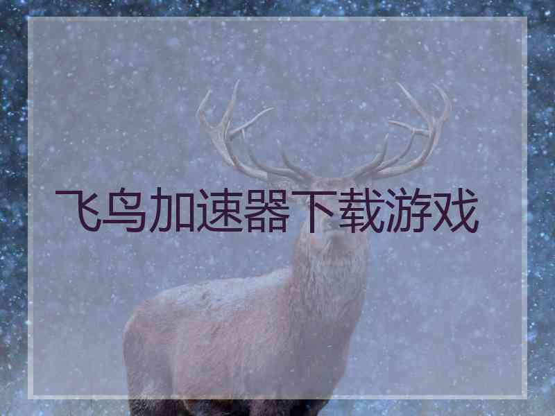 飞鸟加速器下载游戏