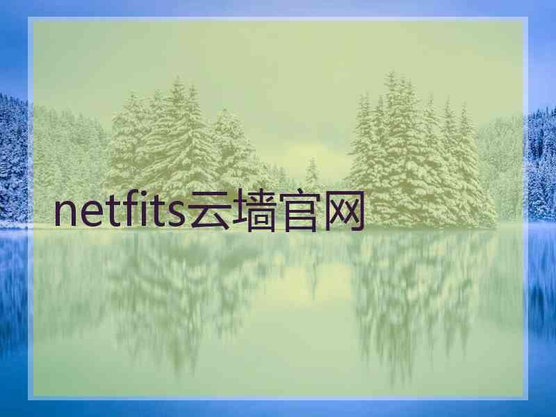 netfits云墙官网