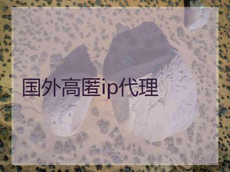 国外高匿ip代理