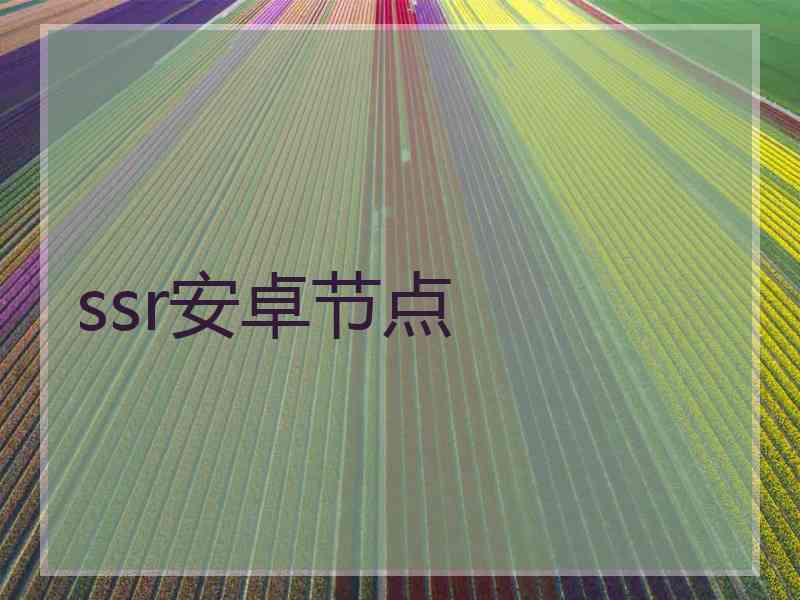 ssr安卓节点