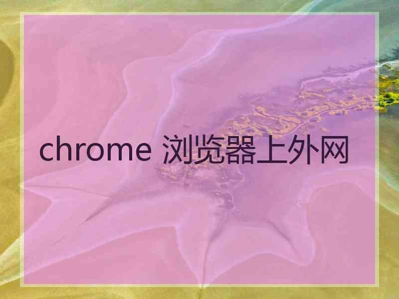 chrome 浏览器上外网