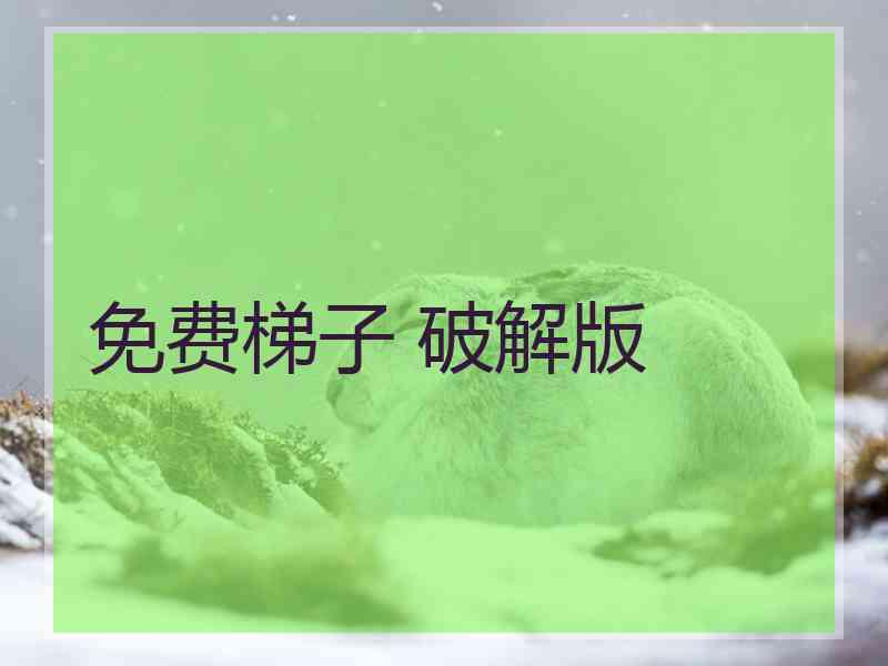 免费梯子 破解版
