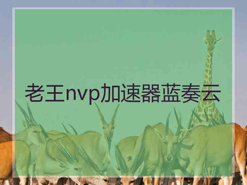 老王nvp加速器蓝奏云