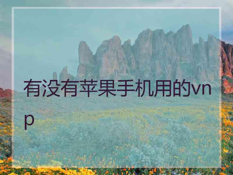 有没有苹果手机用的vnp