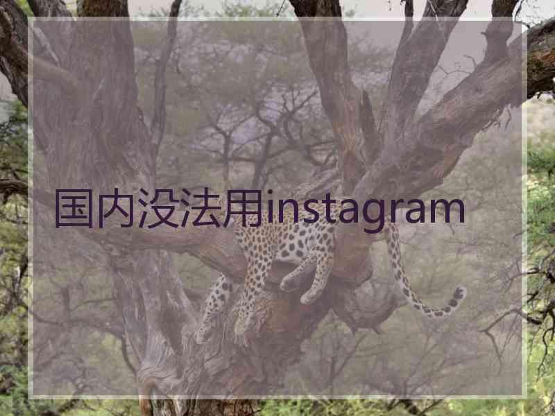 国内没法用instagram