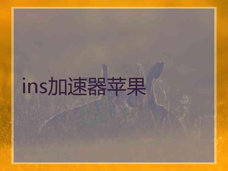 ins加速器苹果